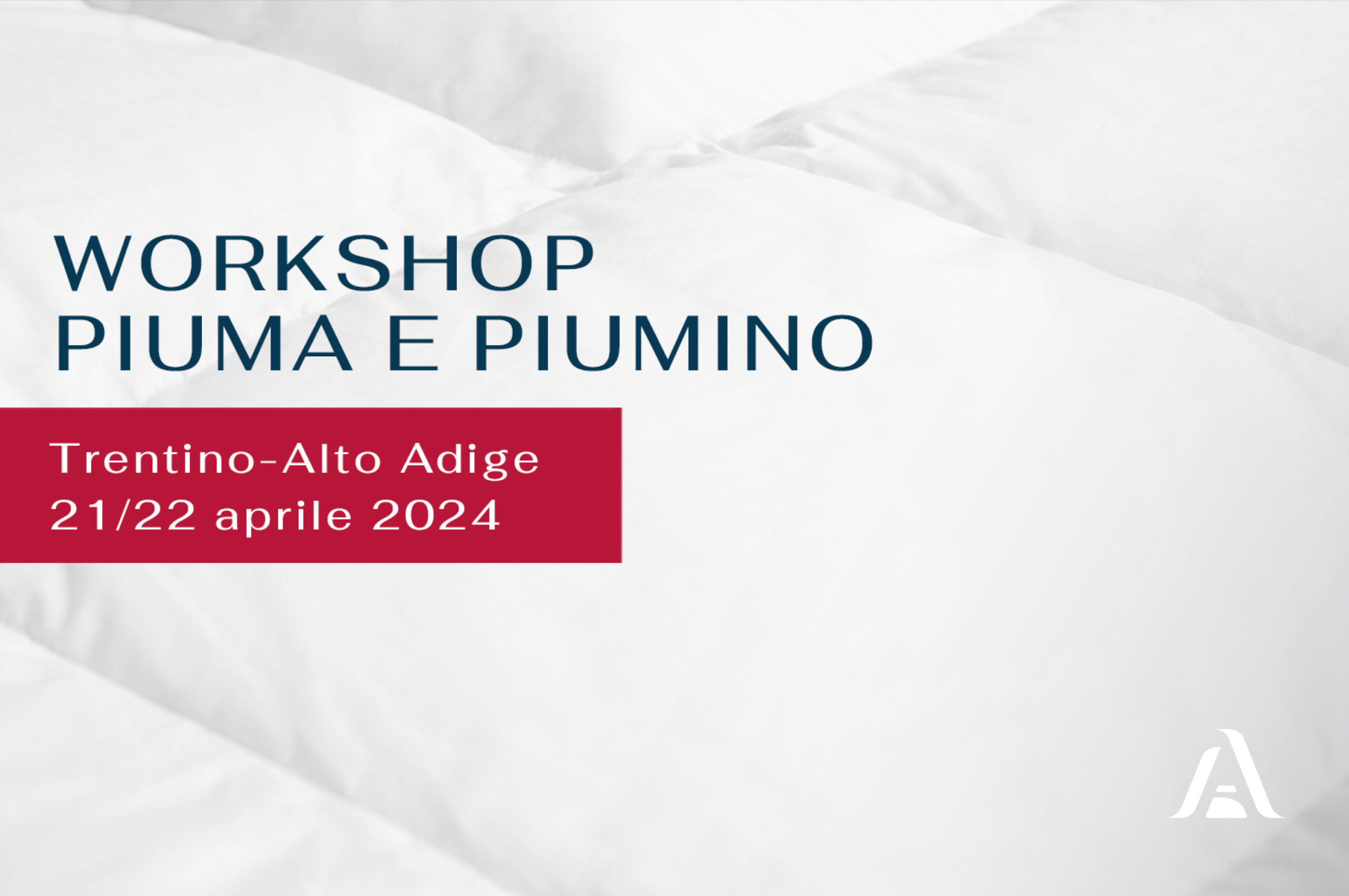 Workshop Piuma e Piumino